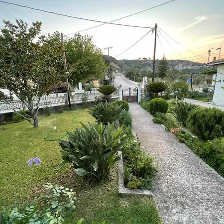 Apricus
