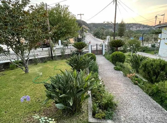 Apricus